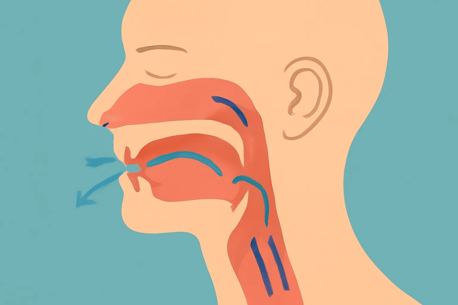 Phát âm âm cuối trong tiếng Anh: Cách phát âm đúng các phụ âm cuối từ và tránh lỗi phổ biến